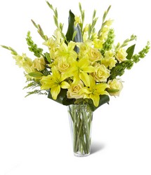 The FTD Glowing Ray Bouquet from Parkway Florist in Pittsburgh PA